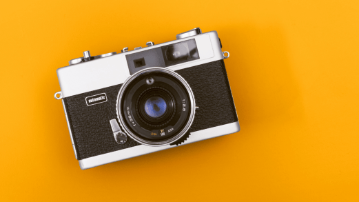 Charlotte Buckle Photography